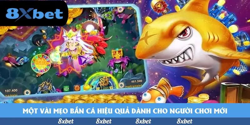 Một vài mẹo bắn cá hiệu quả dành cho người chơi mới